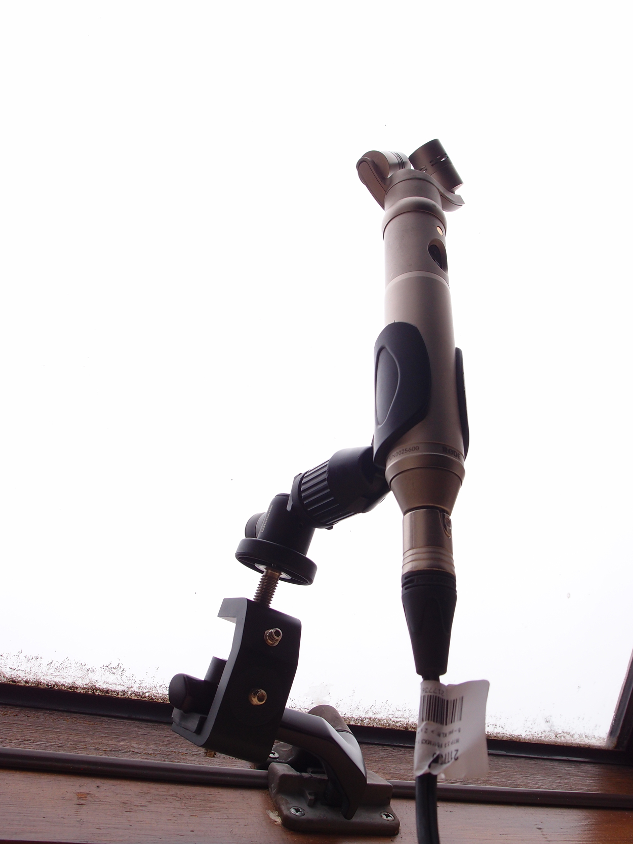 2019-03-14 - 17 temporary rauschpartikel Studio 2 Haspelweg 1